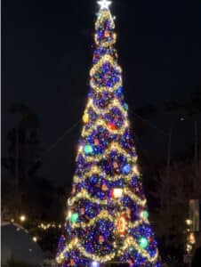 Disney Hollywood Studios Holiday