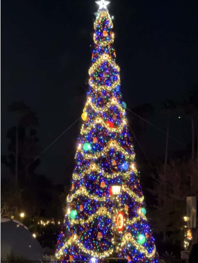 Disney Hollywood Studios Holiday